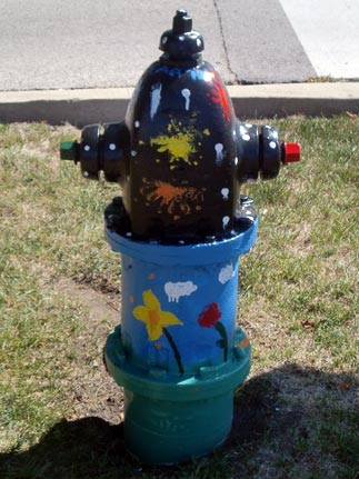 Fireworks - St. Charles and Yale (3)